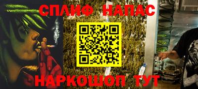 ешки Новодвинск