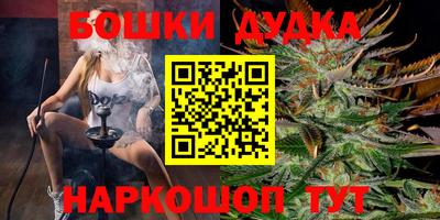 мдпв Новокубанск