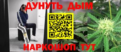 мдпв Новокубанск