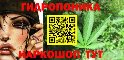 ешки Новодвинск