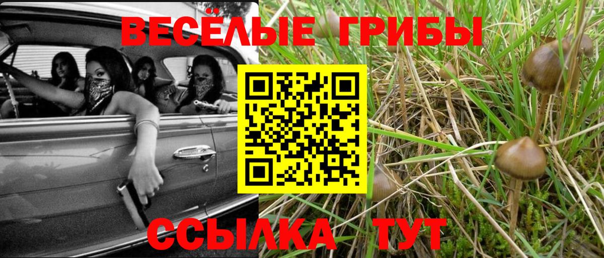 Галлюциногенные грибы Magic Shrooms  Галлюциногенные грибы Psilocybe  Вход с VPN  Реж 