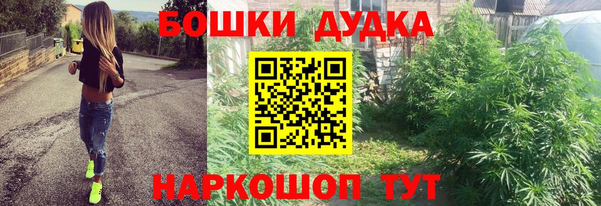 Каннабис ГИДРОПОН Реж